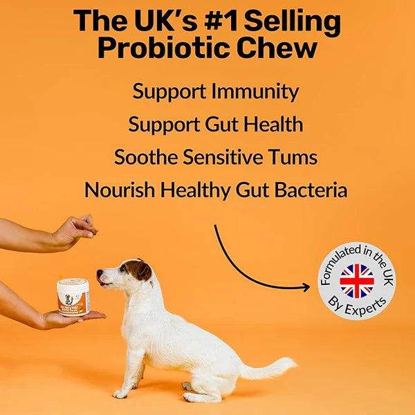 NutriPaw Digestive Probiotic Treats for Dogs – Advanced Gut Health Support with Pre, Pro & Postbiotics – Relief for Sensitive Tummies, Diarrhea, Scooting & Smelly Ears