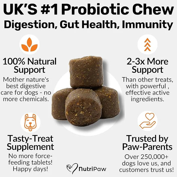 NutriPaw Digestive Probiotic Treats for Dogs – Advanced Gut Health Support with Pre, Pro & Postbiotics – Relief for Sensitive Tummies, Diarrhea, Scooting & Smelly Ears