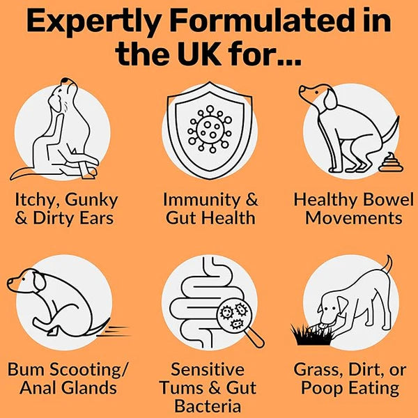 NutriPaw Digestive Probiotic Treats for Dogs – Advanced Gut Health Support with Pre, Pro & Postbiotics – Relief for Sensitive Tummies, Diarrhea, Scooting & Smelly Ears