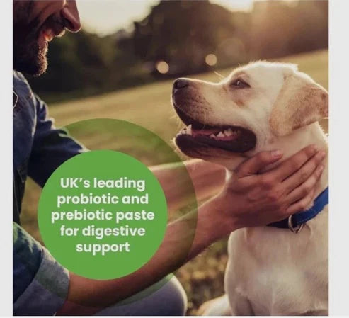 Protexin pet health Pro-Kolin for Dogs and Cats Probiotic Paste and Syringe 60ml